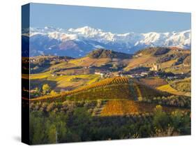 Vineyards and Castle, Grinzane Cavour, Cuneo District, Langhe-Peter Adams-Stretched Canvas