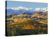 Vineyards and Castle, Grinzane Cavour, Cuneo District, Langhe-Peter Adams-Stretched Canvas