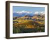 Vineyards and Castle, Grinzane Cavour, Cuneo District, Langhe-Peter Adams-Framed Photographic Print