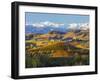 Vineyards and Castle, Grinzane Cavour, Cuneo District, Langhe-Peter Adams-Framed Photographic Print