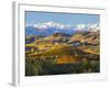 Vineyards and Castle, Grinzane Cavour, Cuneo District, Langhe-Peter Adams-Framed Photographic Print