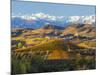 Vineyards and Castle, Grinzane Cavour, Cuneo District, Langhe-Peter Adams-Mounted Photographic Print