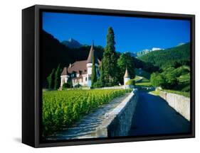 Vineyards and Chateau, Montreux, Switzerland-Peter Adams-Framed Stretched Canvas