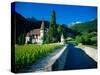 Vineyards and Chateau, Montreux, Switzerland-Peter Adams-Stretched Canvas