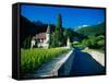 Vineyards and Chateau, Montreux, Switzerland-Peter Adams-Framed Stretched Canvas