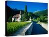 Vineyards and Chateau, Montreux, Switzerland-Peter Adams-Stretched Canvas