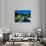 Vineyards and Chateau, Montreux, Switzerland-Peter Adams-Premium Photographic Print displayed on a wall