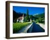 Vineyards and Chateau, Montreux, Switzerland-Peter Adams-Framed Photographic Print