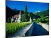 Vineyards and Chateau, Montreux, Switzerland-Peter Adams-Mounted Photographic Print