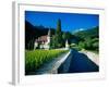 Vineyards and Chateau, Montreux, Switzerland-Peter Adams-Framed Photographic Print