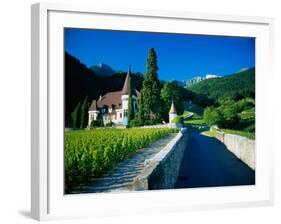 Vineyards and Chateau, Montreux, Switzerland-Peter Adams-Framed Photographic Print