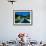Vineyards and Chateau, Montreux, Switzerland-Peter Adams-Framed Photographic Print displayed on a wall