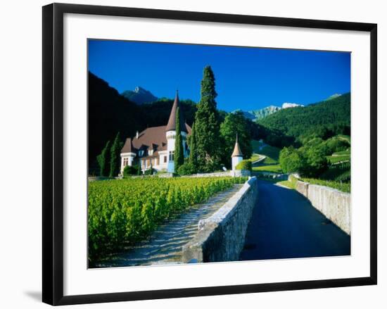 Vineyards and Chateau, Montreux, Switzerland-Peter Adams-Framed Photographic Print