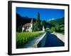 Vineyards and Chateau, Montreux, Switzerland-Peter Adams-Framed Photographic Print