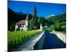 Vineyards and Chateau, Montreux, Switzerland-Peter Adams-Mounted Photographic Print