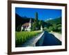 Vineyards and Chateau, Montreux, Switzerland-Peter Adams-Framed Photographic Print