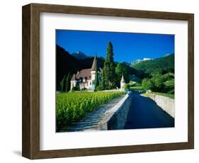 Vineyards and Chateau, Montreux, Switzerland-Peter Adams-Framed Photographic Print