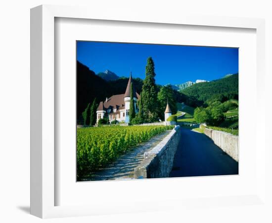Vineyards and Chateau, Montreux, Switzerland-Peter Adams-Framed Photographic Print