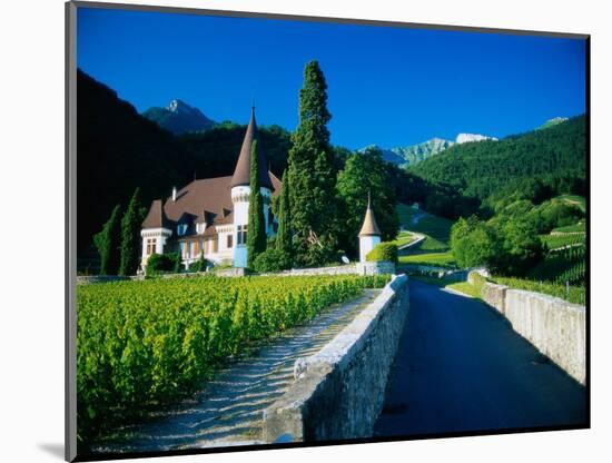 Vineyards and Chateau, Montreux, Switzerland-Peter Adams-Mounted Photographic Print