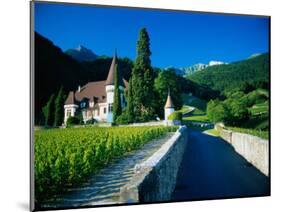 Vineyards and Chateau, Montreux, Switzerland-Peter Adams-Mounted Photographic Print