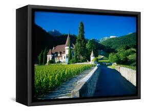 Vineyards and Chateau, Montreux, Switzerland-Peter Adams-Framed Stretched Canvas