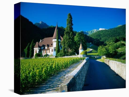 Vineyards and Chateau, Montreux, Switzerland-Peter Adams-Stretched Canvas