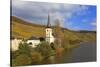 Vineyards and church near Piesport, Moselle Valley, Rhineland-Palatinate, Germany, Europe-Hans-Peter Merten-Stretched Canvas