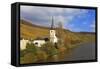 Vineyards and church near Piesport, Moselle Valley, Rhineland-Palatinate, Germany, Europe-Hans-Peter Merten-Framed Stretched Canvas