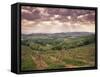 Vineyards and Cloudy Sky Near San Gimignano, Tuscany, Italy, Europe-Patrick Dieudonne-Framed Stretched Canvas