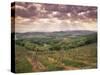 Vineyards and Cloudy Sky Near San Gimignano, Tuscany, Italy, Europe-Patrick Dieudonne-Stretched Canvas