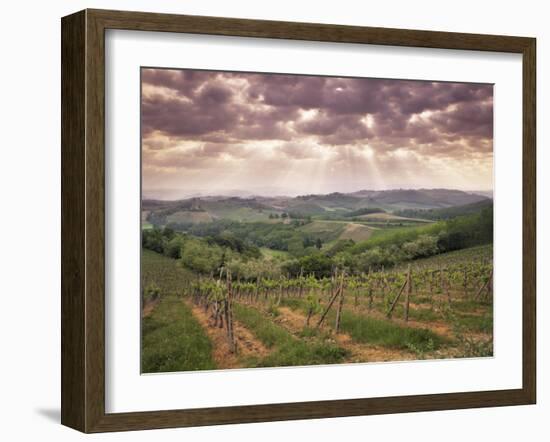 Vineyards and Cloudy Sky Near San Gimignano, Tuscany, Italy, Europe-Patrick Dieudonne-Framed Photographic Print