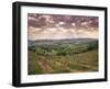 Vineyards and Cloudy Sky Near San Gimignano, Tuscany, Italy, Europe-Patrick Dieudonne-Framed Photographic Print