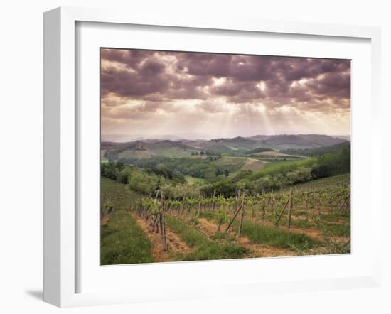 Vineyards and Cloudy Sky Near San Gimignano, Tuscany, Italy, Europe-Patrick Dieudonne-Framed Photographic Print