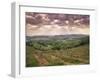 Vineyards and Cloudy Sky Near San Gimignano, Tuscany, Italy, Europe-Patrick Dieudonne-Framed Photographic Print