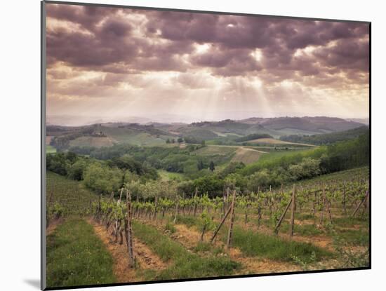 Vineyards and Cloudy Sky Near San Gimignano, Tuscany, Italy, Europe-Patrick Dieudonne-Mounted Photographic Print