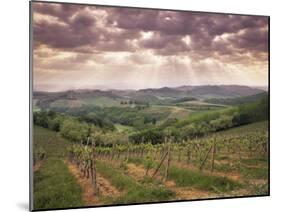 Vineyards and Cloudy Sky Near San Gimignano, Tuscany, Italy, Europe-Patrick Dieudonne-Mounted Photographic Print