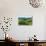 Vineyards and Cypress Trees, Chianti Region, Tuscany, Italy, Europe-Peter Groenendijk-Stretched Canvas displayed on a wall