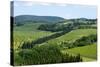 Vineyards and Cypress Trees, Chianti Region, Tuscany, Italy, Europe-Peter Groenendijk-Stretched Canvas