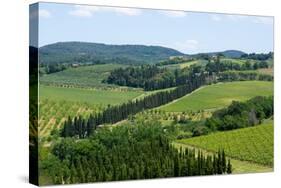 Vineyards and Cypress Trees, Chianti Region, Tuscany, Italy, Europe-Peter Groenendijk-Stretched Canvas