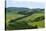 Vineyards and Cypress Trees, Chianti Region, Tuscany, Italy, Europe-Peter Groenendijk-Stretched Canvas
