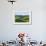 Vineyards and Cypress Trees, Chianti Region, Tuscany, Italy, Europe-Peter Groenendijk-Framed Photographic Print displayed on a wall