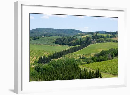 Vineyards and Cypress Trees, Chianti Region, Tuscany, Italy, Europe-Peter Groenendijk-Framed Photographic Print