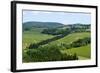 Vineyards and Cypress Trees, Chianti Region, Tuscany, Italy, Europe-Peter Groenendijk-Framed Photographic Print