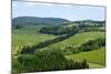 Vineyards and Cypress Trees, Chianti Region, Tuscany, Italy, Europe-Peter Groenendijk-Mounted Photographic Print