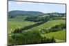 Vineyards and Cypress Trees, Chianti Region, Tuscany, Italy, Europe-Peter Groenendijk-Mounted Photographic Print