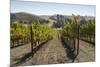 Vineyards and Hills-Stuart Black-Mounted Photographic Print