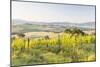 Vineyards and Il Belvedere on the Val D'Orcia, UNESCO World Heritage Site, Tuscany, Italy, Europe-Julian Elliott-Mounted Photographic Print