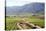 Vineyards and Landscape of the Franschhoek Area, Western Cape, South Africa, Africa-Louise Murray-Stretched Canvas