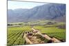 Vineyards and Landscape of the Franschhoek Area, Western Cape, South Africa, Africa-Louise Murray-Mounted Photographic Print