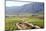 Vineyards and Landscape of the Franschhoek Area, Western Cape, South Africa, Africa-Louise Murray-Mounted Photographic Print